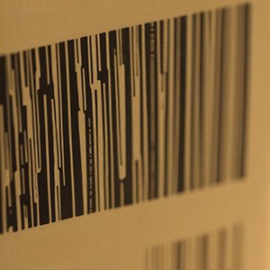 book publishing